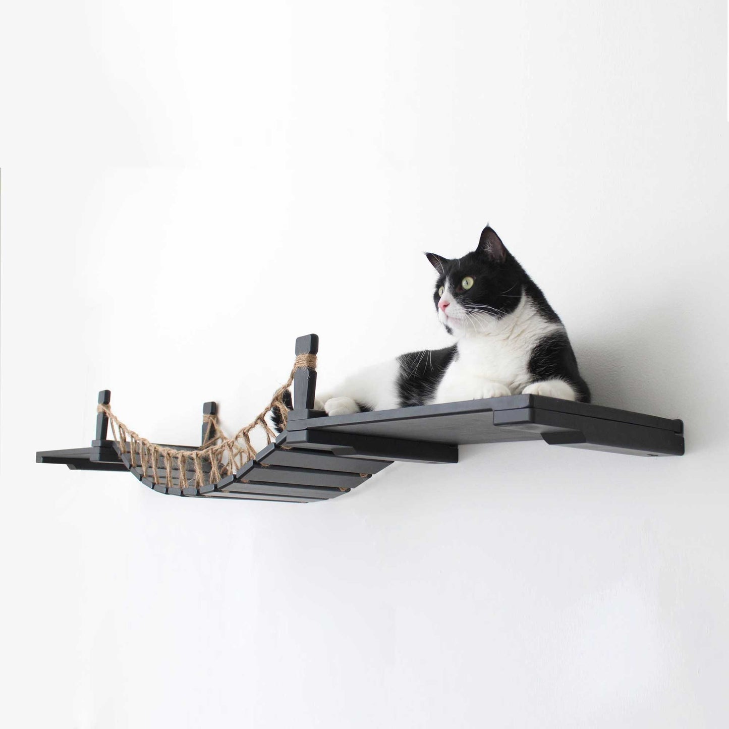 Wall-Mounted Cat Bridge - Flexible Crossing System with Safety Railings