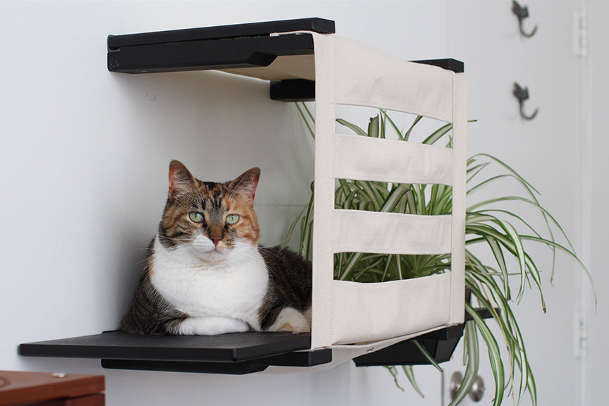 Deluxe Cat Cubby Bed- Customizable Hideaway with Accessories