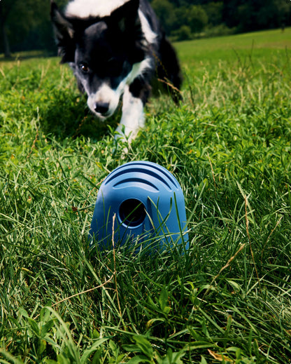 Interactive Treat Dispenser for Dogs | Mental Stimulation & Slow Feeder – Multiple Colors by Fable