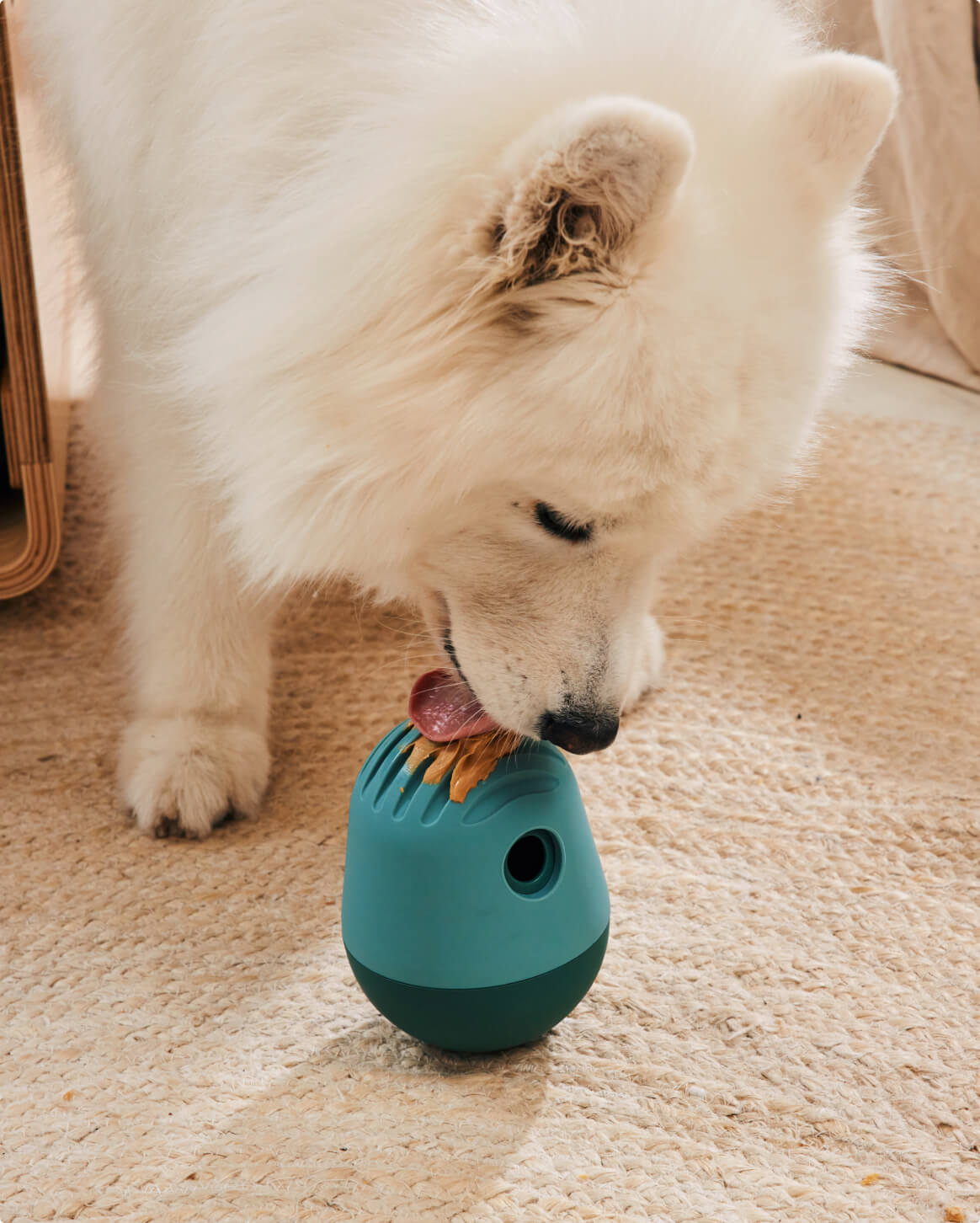 Interactive Treat Dispenser for Dogs | Mental Stimulation & Slow Feeder – Multiple Colors by Fable
