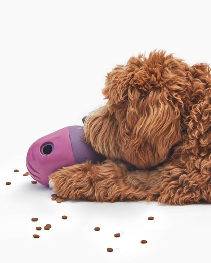 Interactive Treat Dispenser for Dogs | Mental Stimulation & Slow Feeder – Multiple Colors by Fable