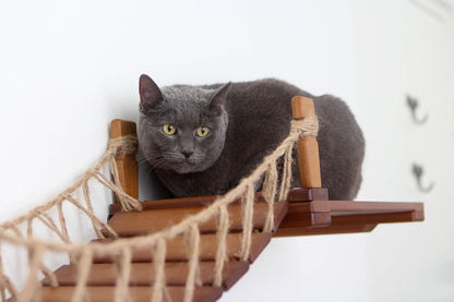 Wall-Mounted Cat Bridge - Flexible Crossing System with Safety Railings