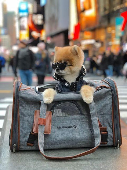 Airline Pet Carrier Soft-Sided Standard (Gold Series)