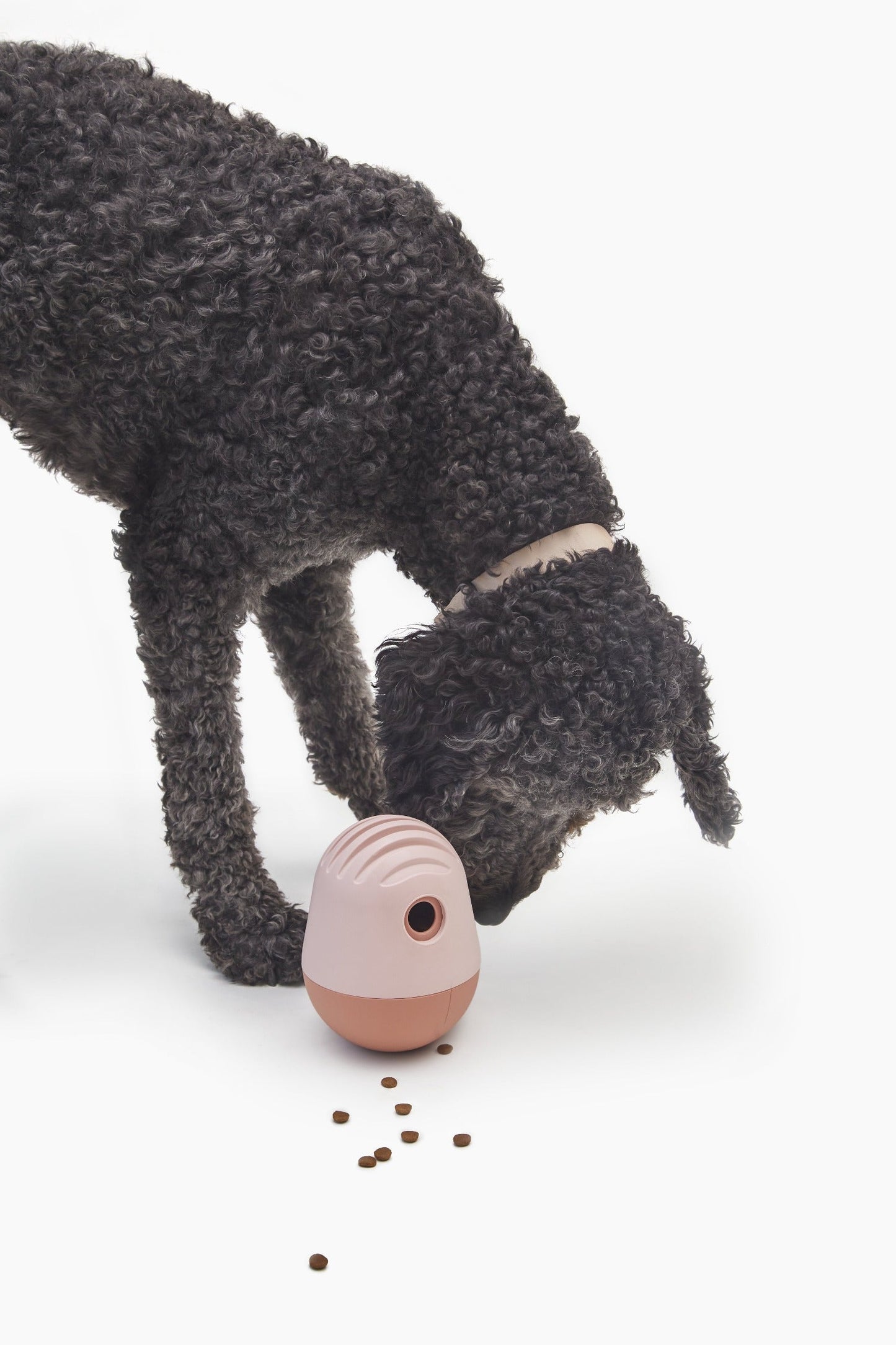 Interactive Treat Dispenser for Dogs | Mental Stimulation & Slow Feeder – Multiple Colors by Fable