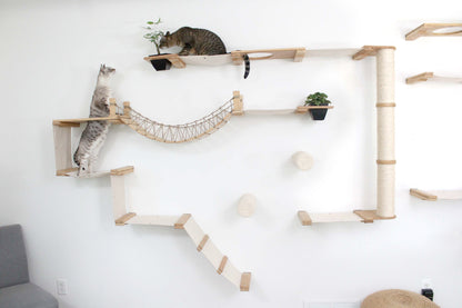 Ultimate Cat Playground - Complete Wall-Mounted Adventure System