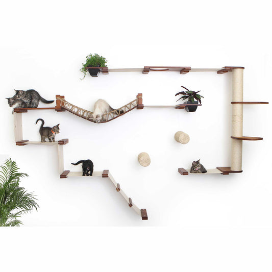 A wall-mounted cat climbing system with kittens.
