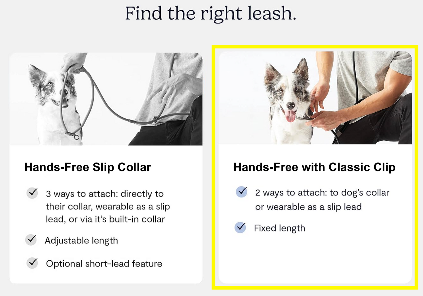 Dog Walking Leash – Hands-Free with Classic Clip (Multi-Color)