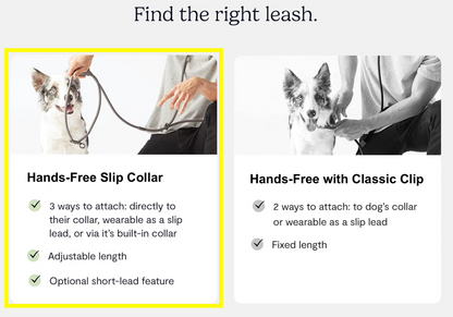 Dog Walking Leash – Hands-Free Slip Collar Style with Convertible Link (Multi-Color)