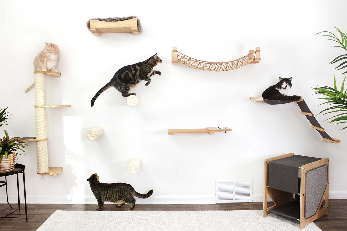 Wall-Mounted Cat Bridge - Flexible Crossing System with Safety Railings
