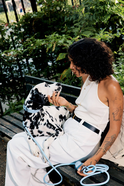 Dog Walking Leash – Hands-Free with Classic Clip (Multi-Color)