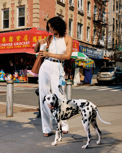 Dog Walking Leash – Hands-Free Slip Collar Style with Convertible Link (Multi-Color)