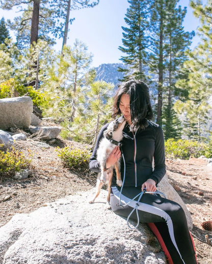 Dog Walking Leash – Hands-Free Slip Collar Style with Convertible Link (Multi-Color)