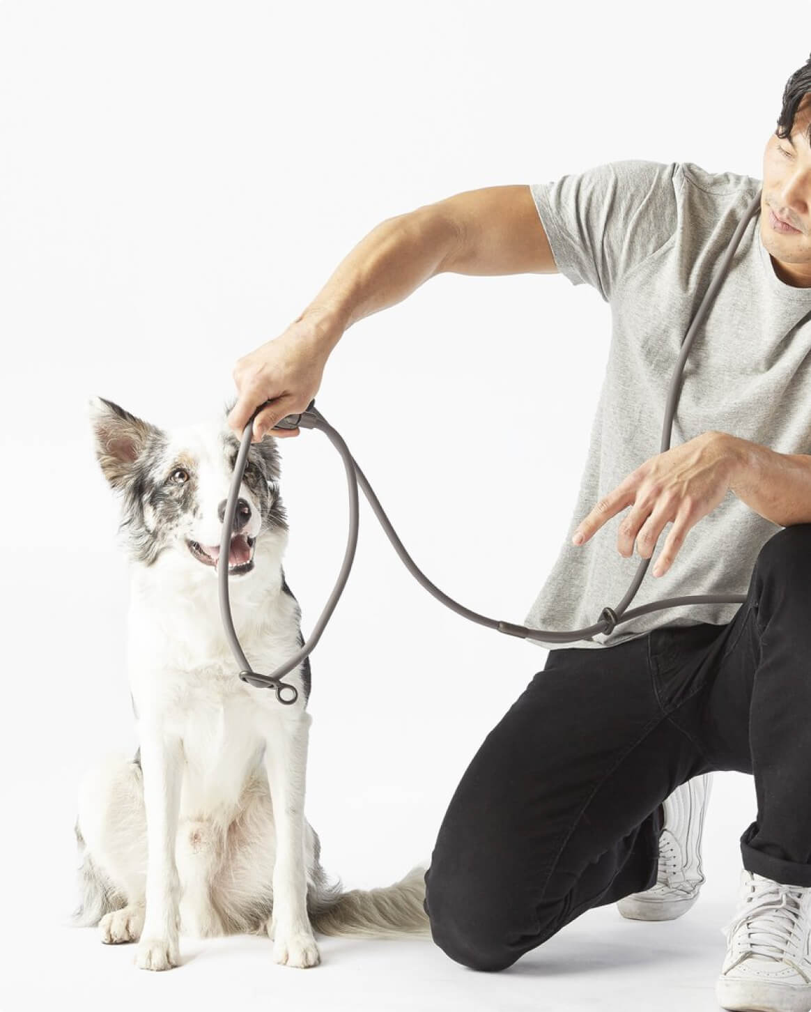 Dog Walking Leash – Hands-Free Slip Collar Style with Convertible Link (Multi-Color)