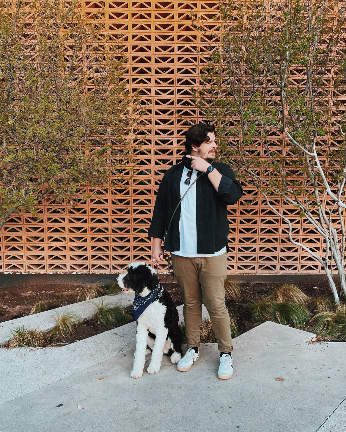 Dog Walking Leash – Hands-Free Slip Collar Style with Convertible Link (Multi-Color)