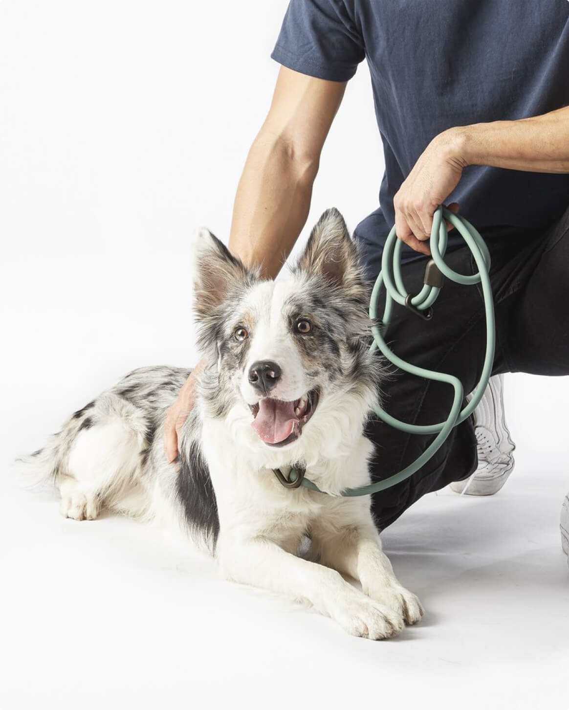 Dog Walking Leash – Hands-Free Slip Collar Style with Convertible Link (Multi-Color)