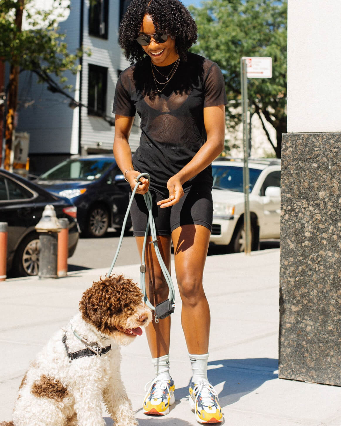 Dog Walking Leash – Hands-Free Slip Collar Style with Convertible Link (Multi-Color)