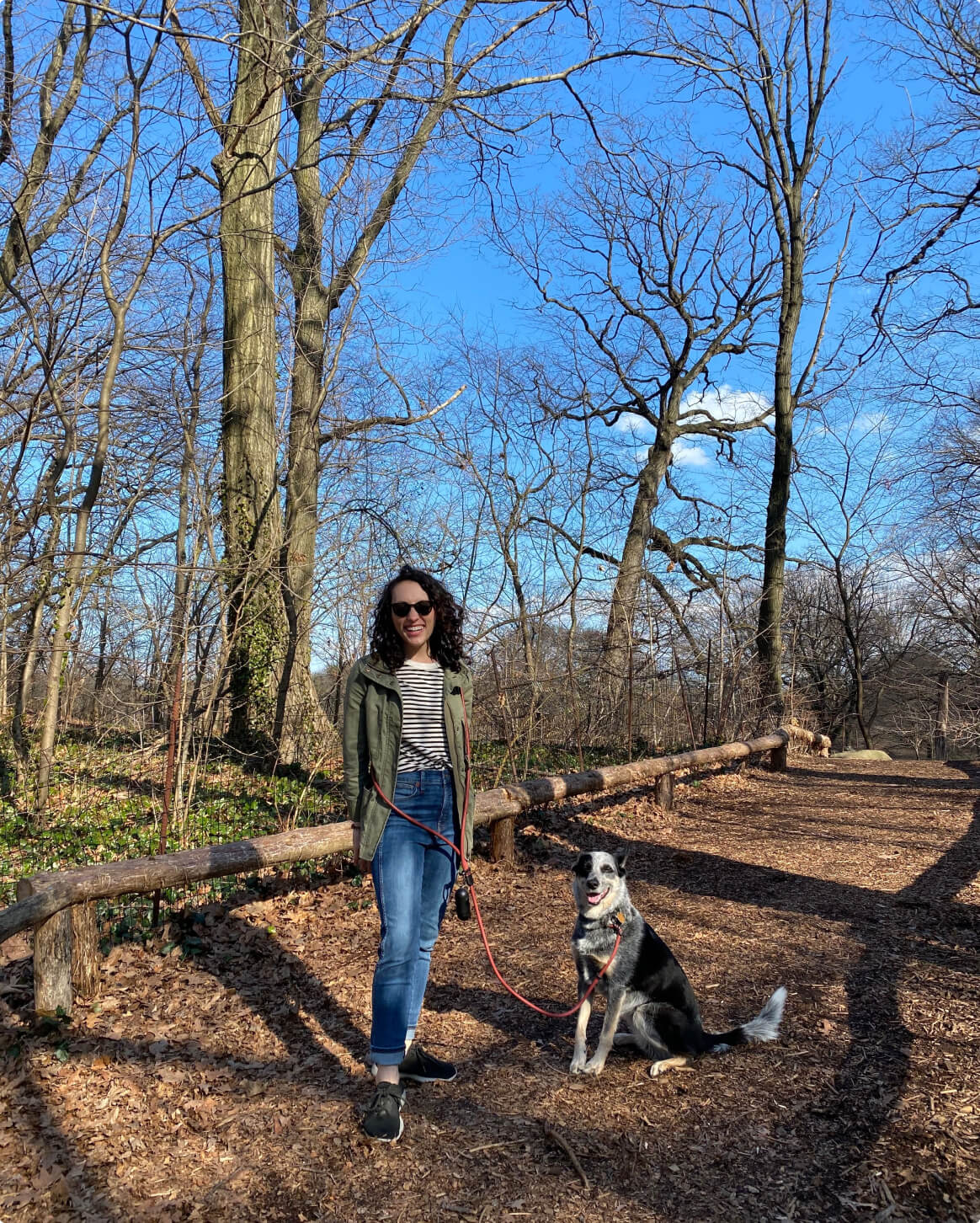 Dog Walking Leash – Hands-Free Slip Collar Style with Convertible Link (Multi-Color)