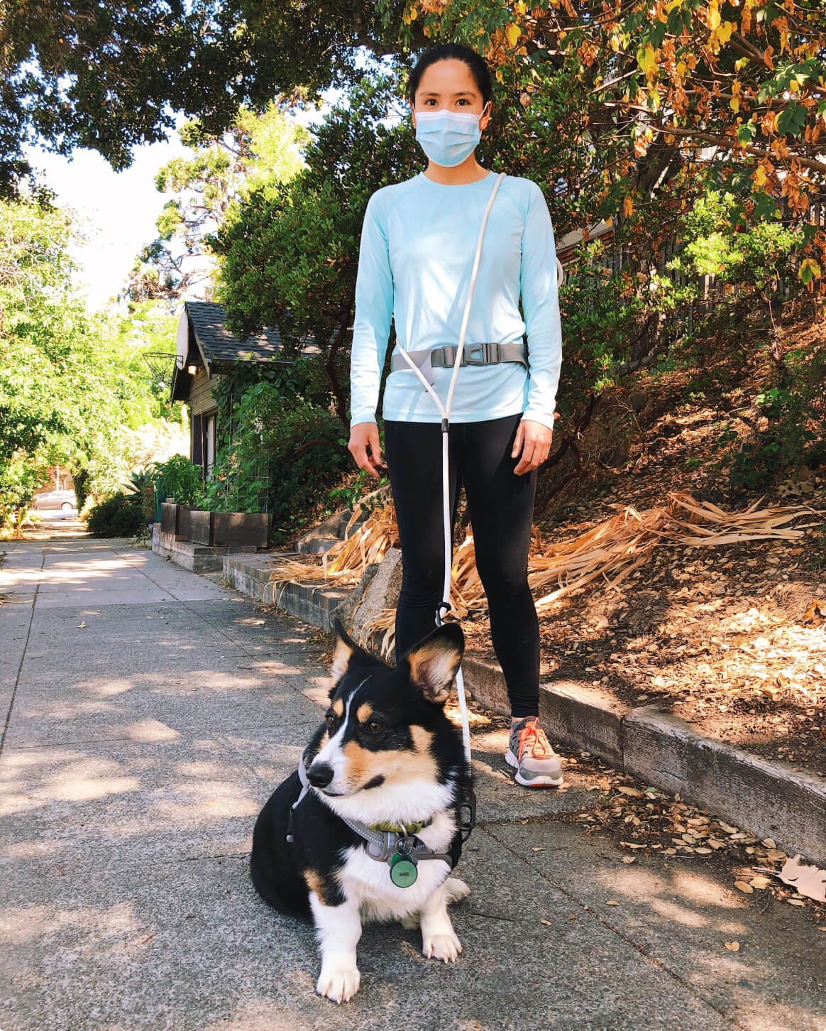 Dog Walking Leash – Hands-Free Slip Collar Style with Convertible Link (Multi-Color)