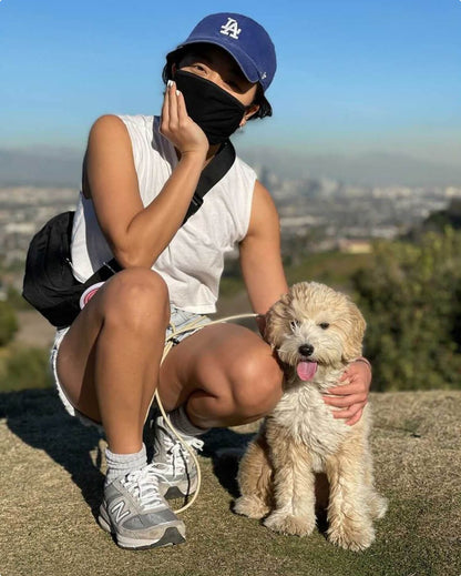 Dog Walking Leash – Hands-Free Slip Collar Style with Convertible Link (Multi-Color)