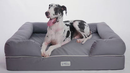 Orthopedic Memory Foam Dog Bed with Bolster Sides