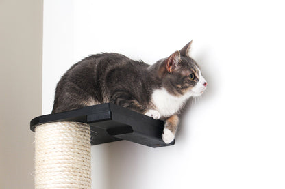 Wall Mounted Cat Scratching Pole with Sisal - Vertical Climbing Tower for Small Spaces