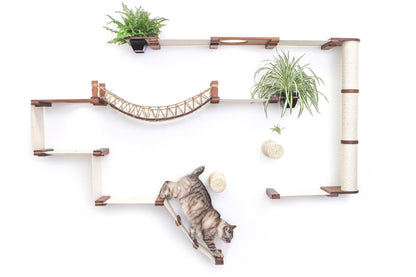 Ultimate Cat Playground - Complete Wall-Mounted Adventure System