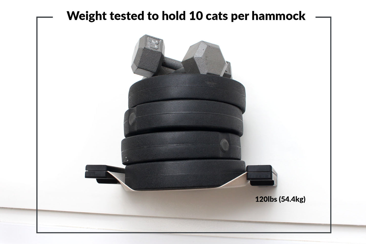 Double Cat Hammock Bridge - Suspension System with Climbing Platform