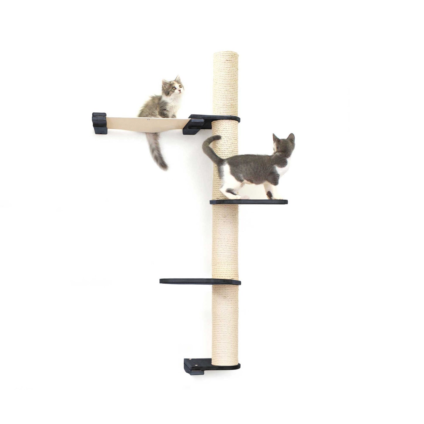 Vertical cat tree wall with natural bamboo scratching pole and black canvas summit hammock.